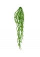 Rhipsalis Paradoxa pianta artificiale ricadente 75cm
