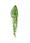Rhipsalis Paradoxa pianta artificiale ricadente 75cm