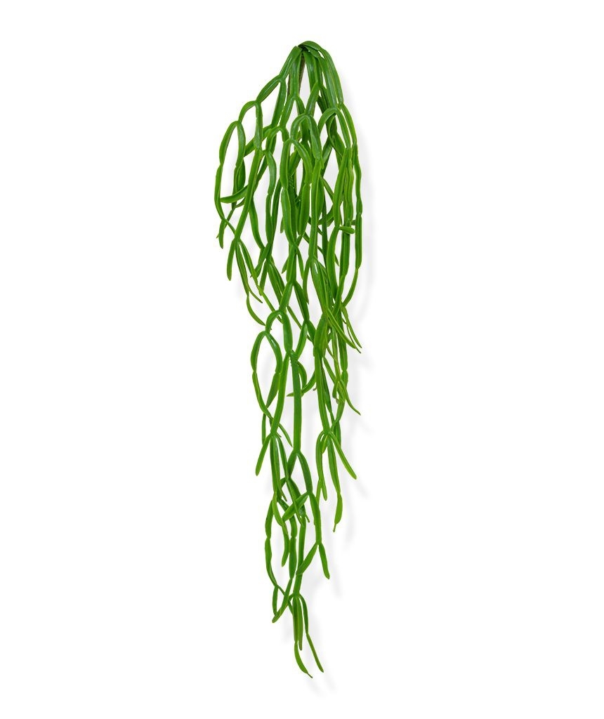 Rhipsalis Paradoxa pianta artificiale ricadente 75cm