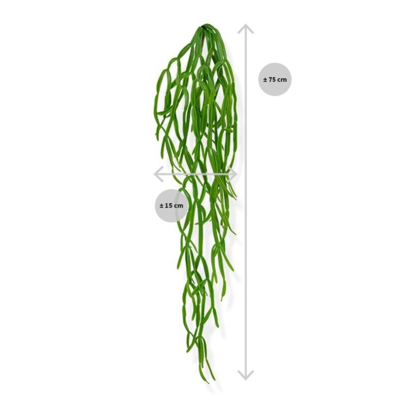 Rhipsalis Paradoxa pianta artificiale ricadente 75cm