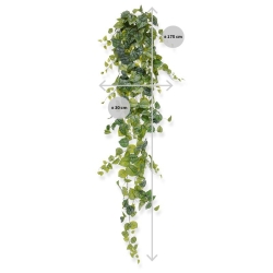 Pianta ricadente artificiale Scindapsus Pictus 170 cm