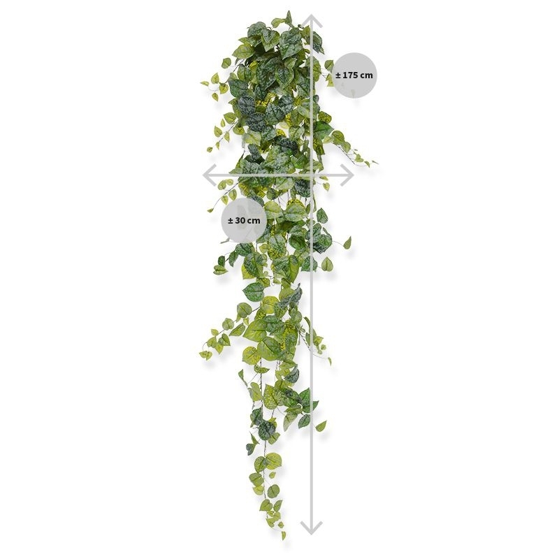 Pianta ricadente artificiale Scindapsus Pictus 170 cm