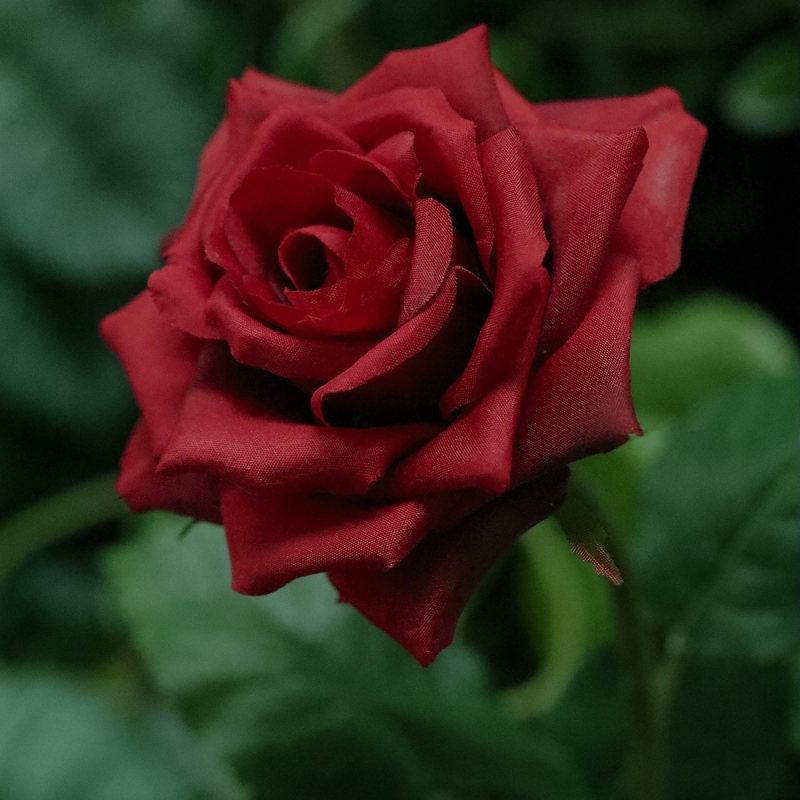 Ramo di rosa artificiale Classic 46 cm rosso