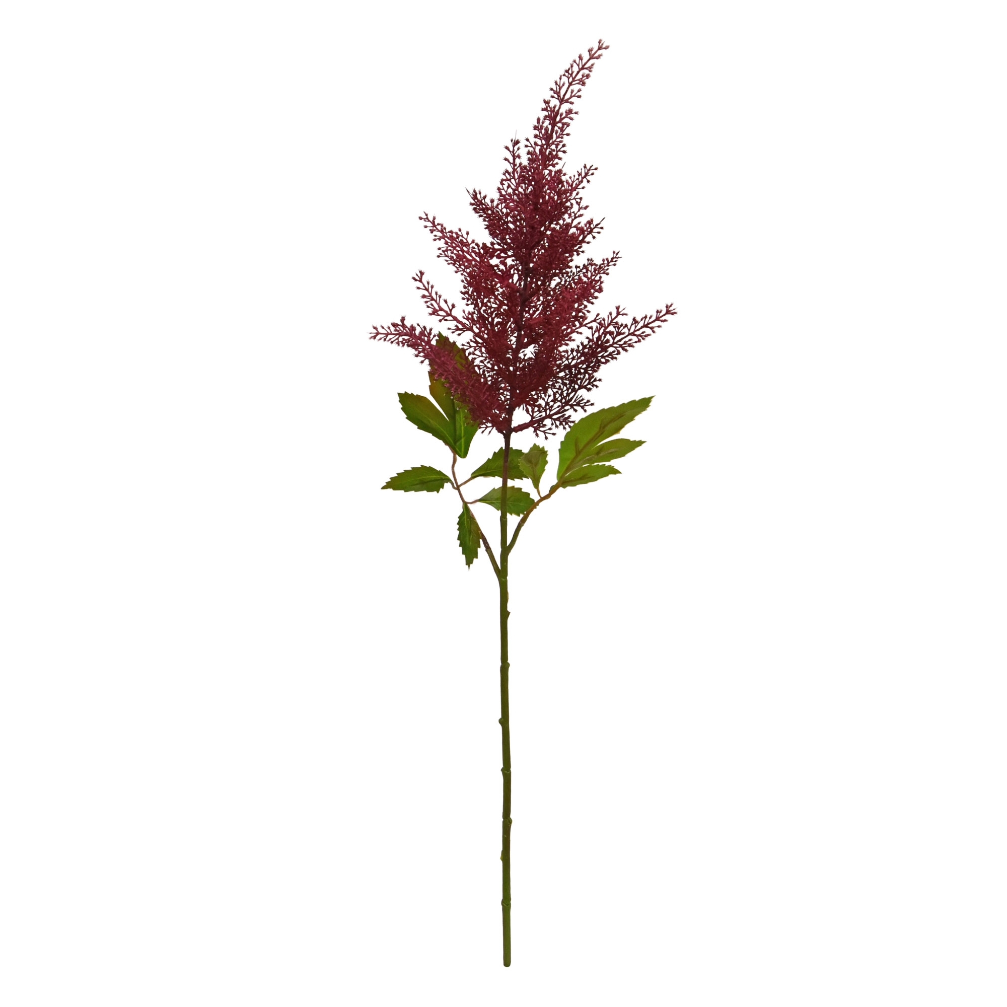 Astilbe Art ramo 70cm Borgogna