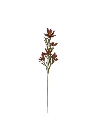 Leucadendron Artificiale 89cm Borgogna