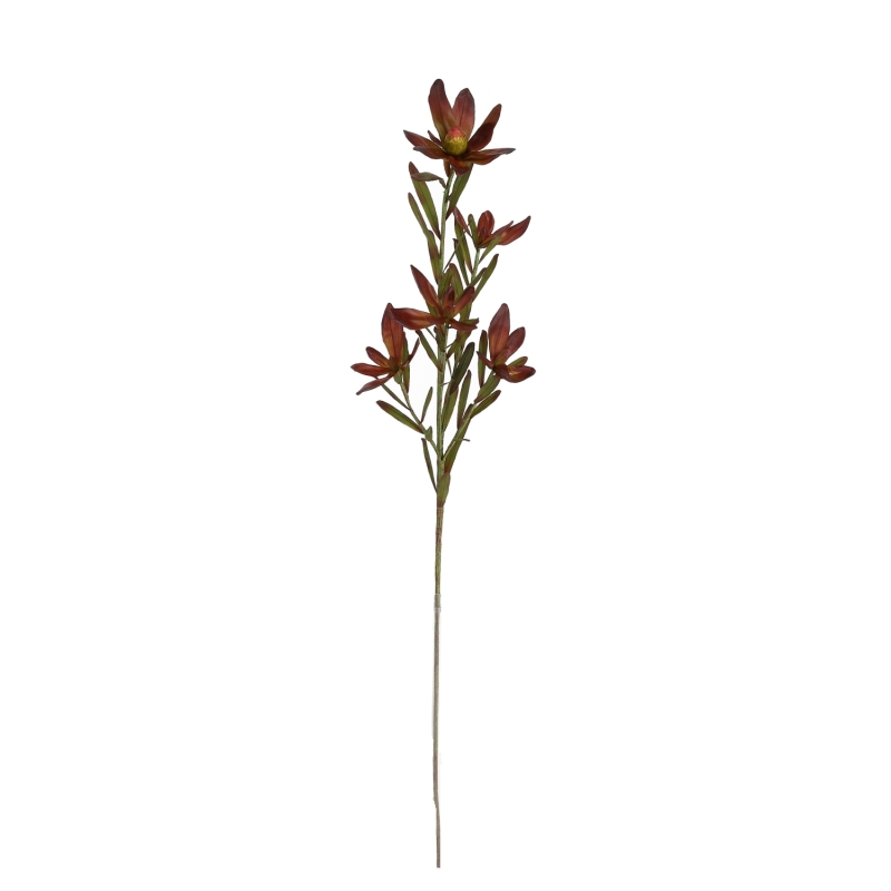 Leucadendron Artificiale 89cm Borgogna