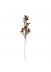 Leucadendron Artificiale 89cm Borgogna