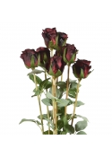 Pacchetto di rose artificiali x8 70 cm rosso