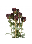Pacchetto di rose artificiali x8 70 cm rosso