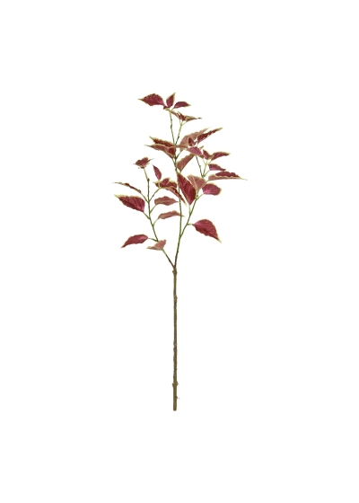 Ramo di coleus 80 cm - Borgogna