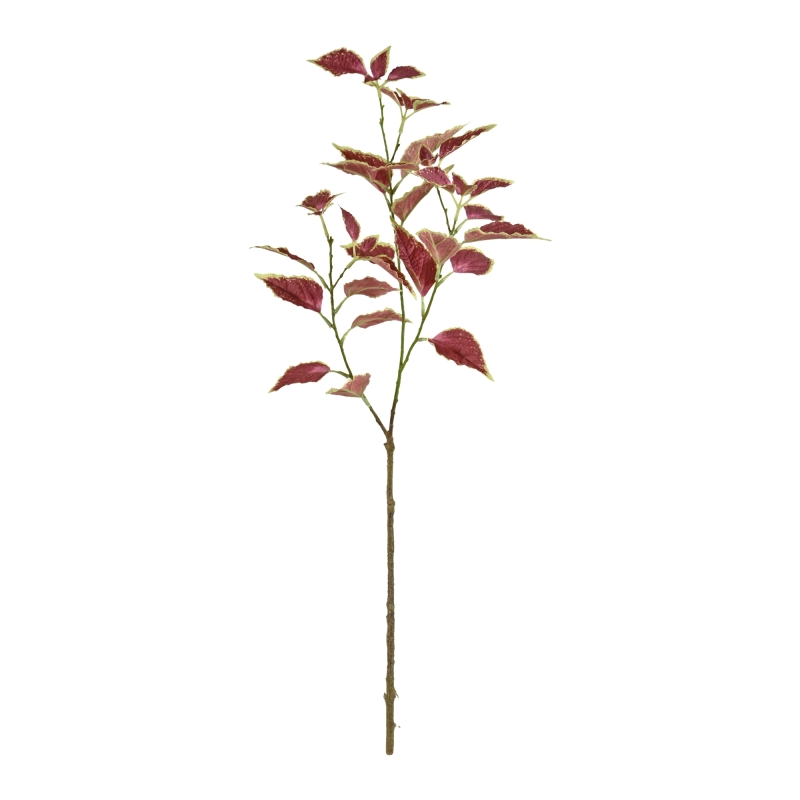 Ramo di coleus 80 cm - Borgogna