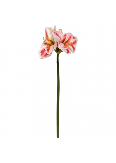 Amaryllis Fiore Artificiale 67cm Bianco Rosso