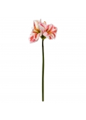 Amaryllis Fiore Artificiale 67cm Bianco Rosso