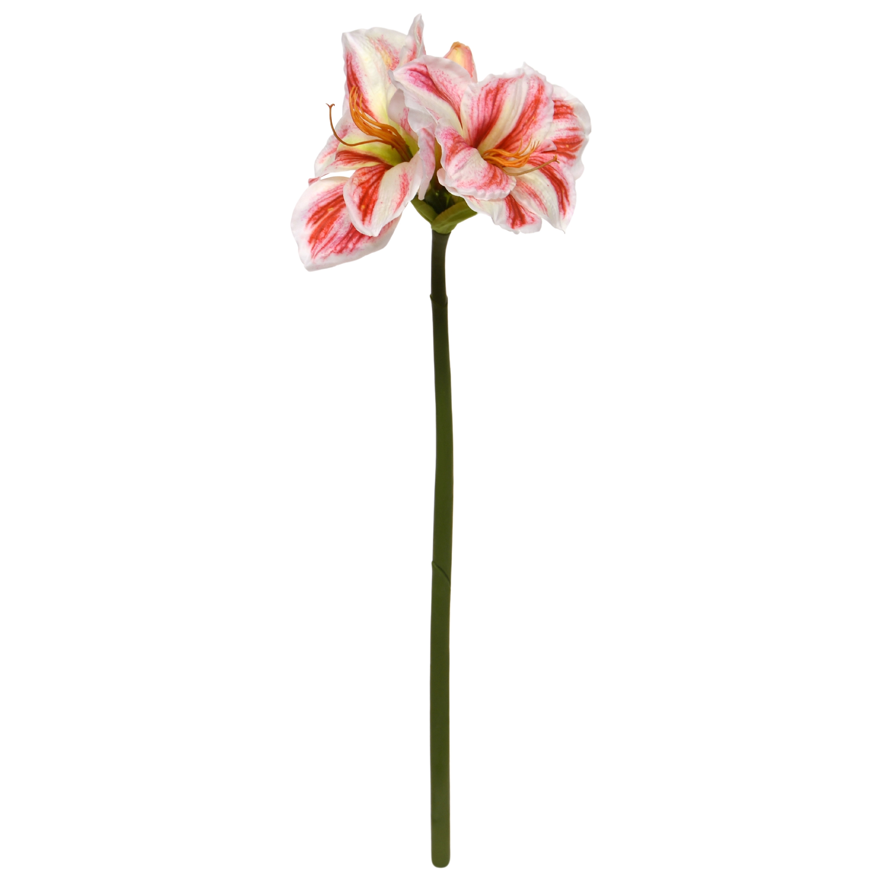 Amaryllis Fiore Artificiale 67cm Bianco Rosso