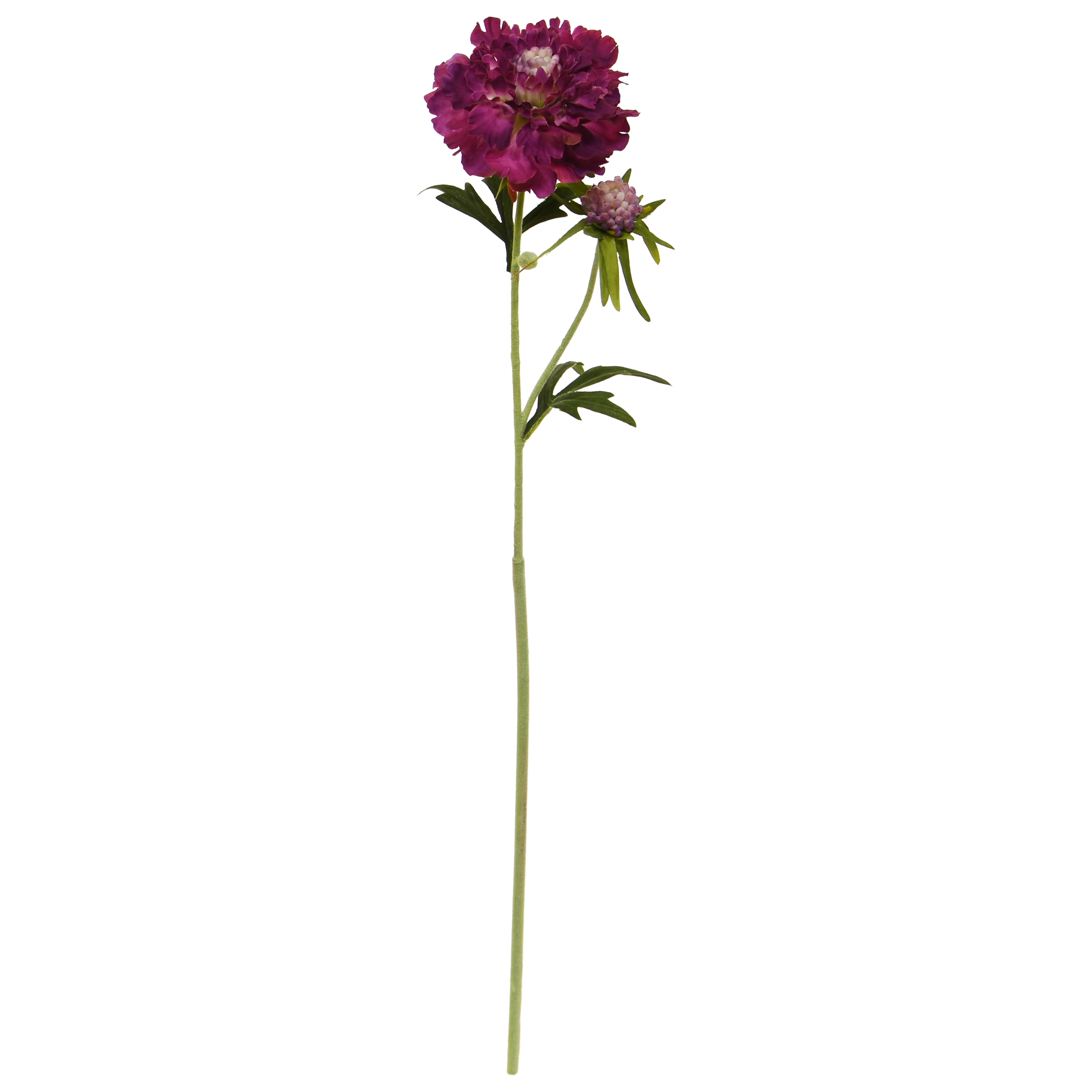 Scabiosa Fiore Artificiale 57cm Borgogna