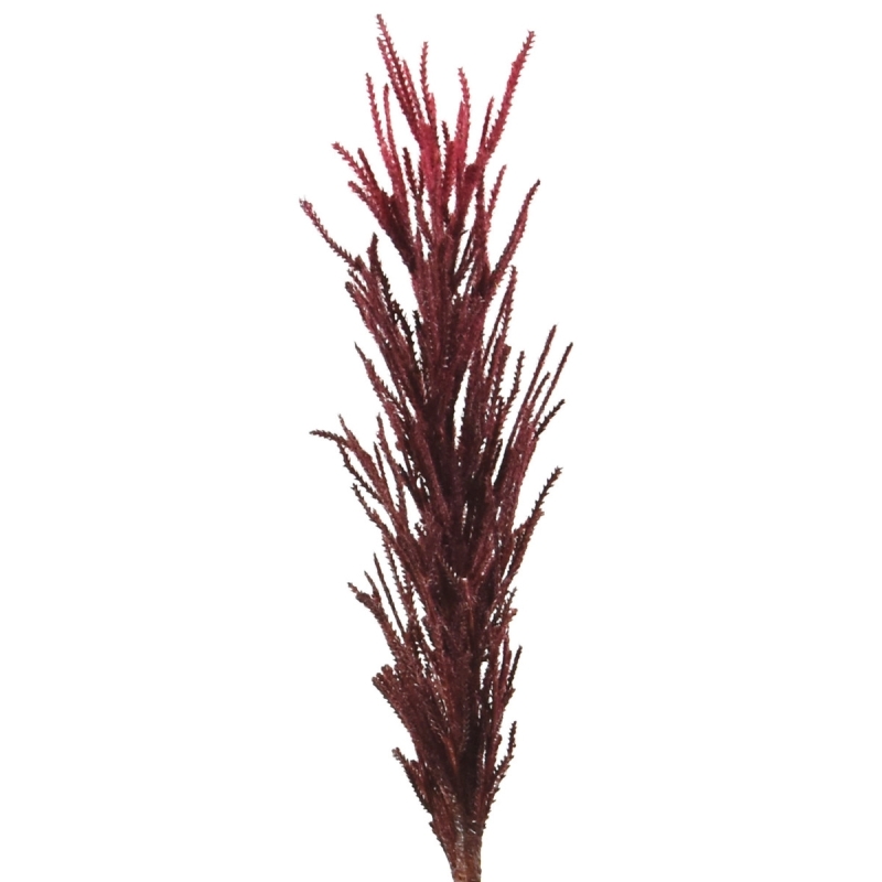 Pennacchio artificiale della Pampa 80 cm bordeaux