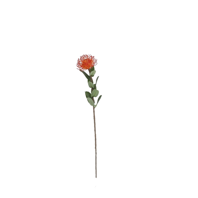 Branche di Leucadendron Nutans Artificiale 53cm