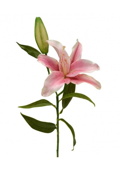Ramo artificiale di giglio Deluxe 55 cm rosa
