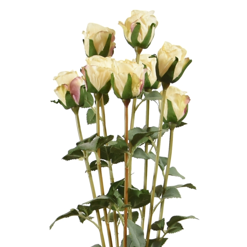 Pacchetto di rose artificiali x8 70 cm crema
