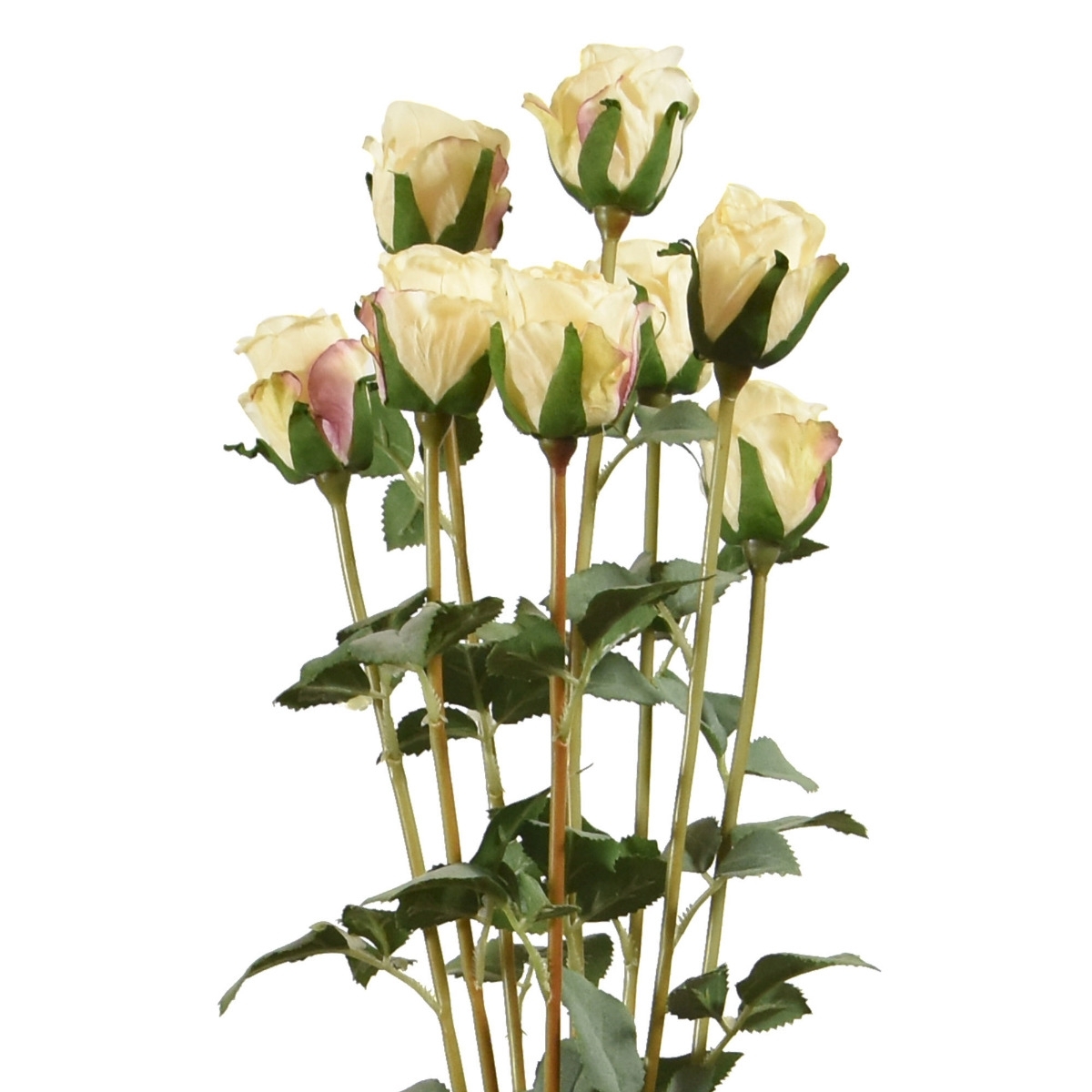 Pacchetto di rose artificiali x8 70 cm crema