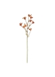 Ramo di canguro 70 cm - arancione