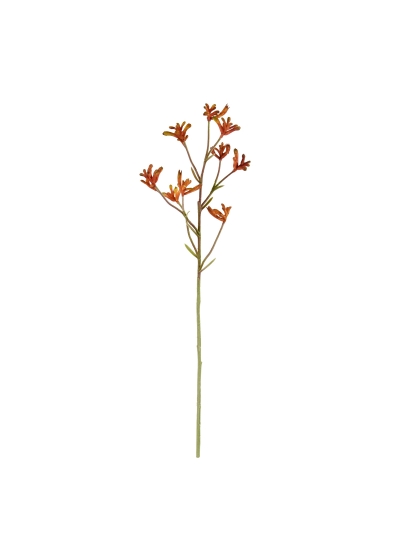 Ramo di canguro 70 cm - arancione
