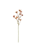 Ramo di canguro 70 cm - arancione