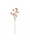 Ramo di canguro 70 cm - arancione