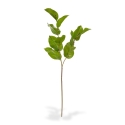 Ramo di foglie artificiali Salal deluxe M 65 cm