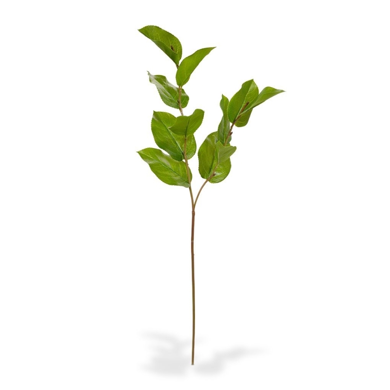 Ramo di foglie artificiali Salal deluxe M 65 cm