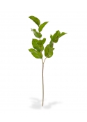 Ramo di foglie artificiali Salal deluxe M 65 cm