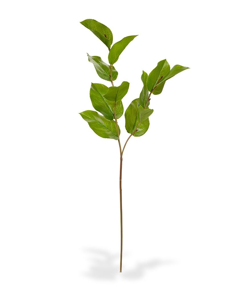 Ramo di foglie artificiali Salal deluxe M 65 cm