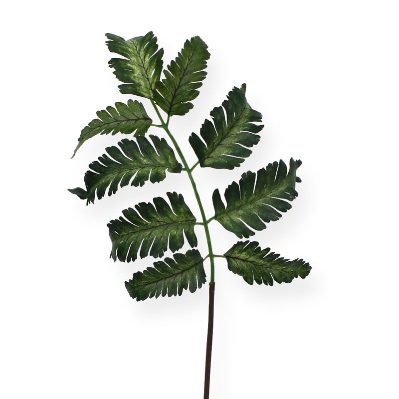 Foglia di felce Pteris 50 cm