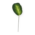 Foglia artificiale di Dieffenbachia