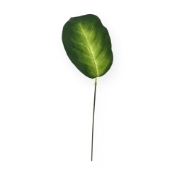 Foglia artificiale di Dieffenbachia