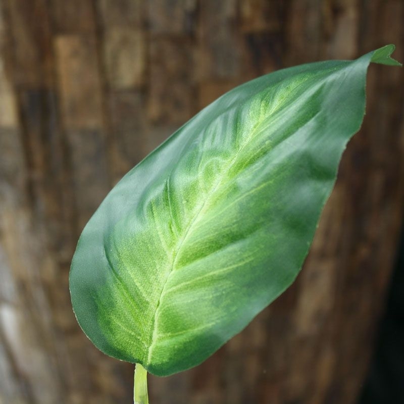 Foglia artificiale di Dieffenbachia