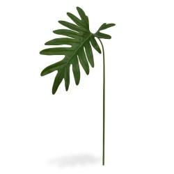 Philo Xanadu foglia 55 cm