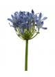 Agapanthus ramo artificiale Deluxe 60 cm lilla