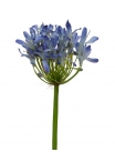 Agapanthus ramo artificiale Deluxe 60 cm lilla