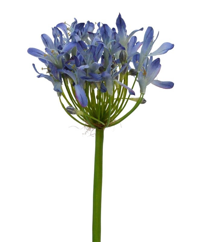 Agapanthus ramo artificiale Deluxe 60 cm lilla