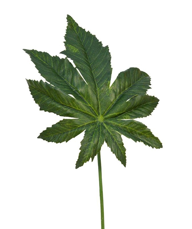 Ramo di foglie artificiali Aralia 45 cm