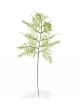 Ramo artificiale di asparagi 55 cm