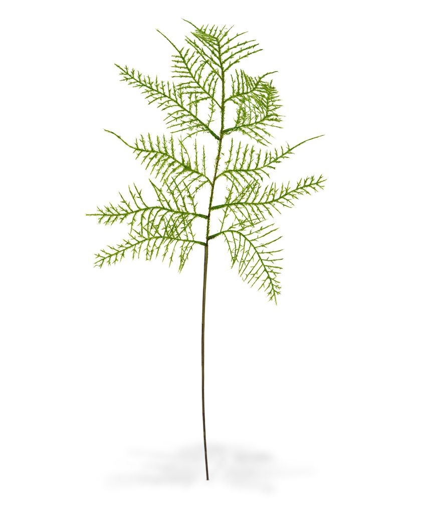 Ramo artificiale di asparagi 55 cm