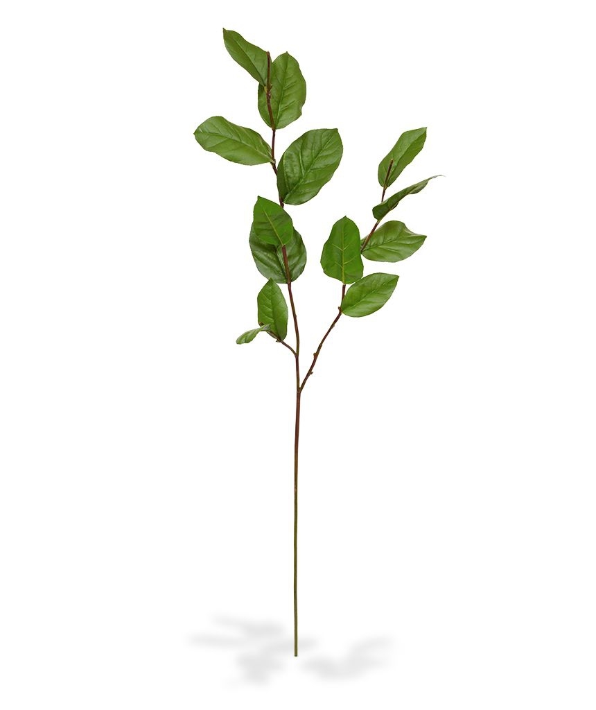 Ramo di foglie artificiali Salal deluxe G 90 cm