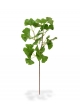 Ramo di foglie artificiali di ginkgo deluxe 50