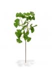 Ramo di foglie artificiali di ginkgo deluxe 50
