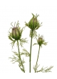 Nigella bud ramo artificiale 55 cm verde-viola