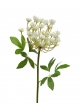 Ramo artificiale di aneto 55 cm crema