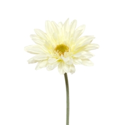 Gerbera artificiale a stelo 60 cm crema