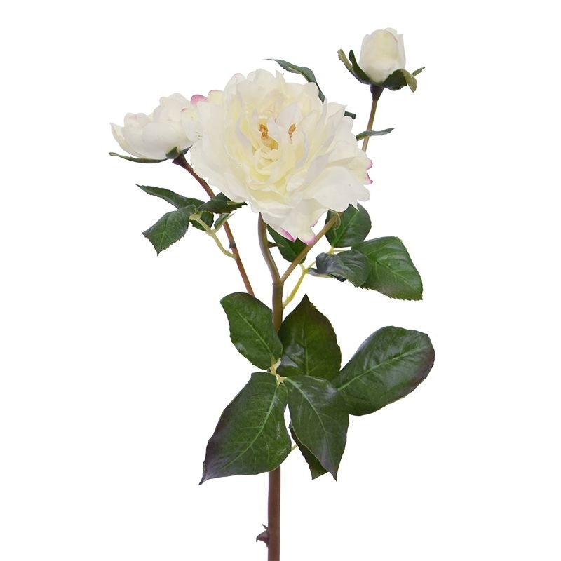 Rosa d'arte Raggio di rami 50 cm crema